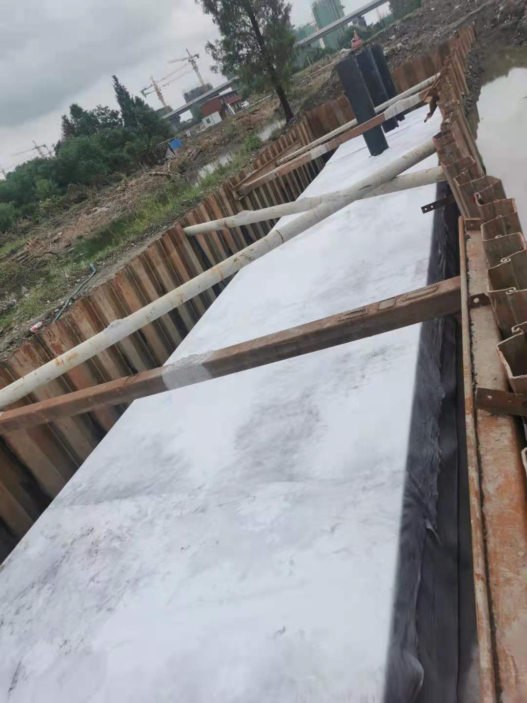 1628661712426071.jpg 12db0ee63a5ca8c851e693e9e6b5e2c.jpg